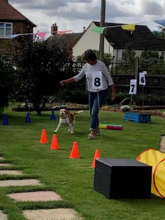 Mini Crufts at Toray Pines