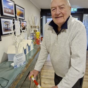 Dreams come true with Humberston House’s magical dream tree